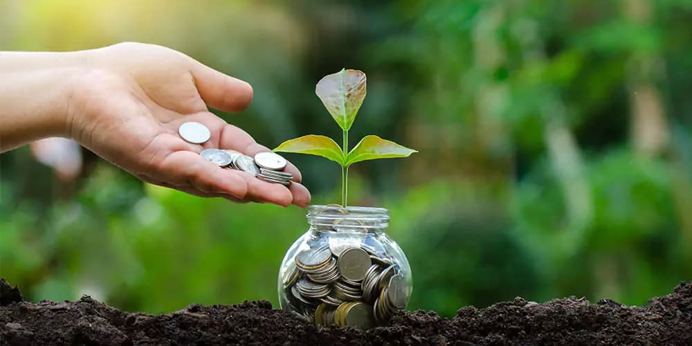 Mutual Funds Investment